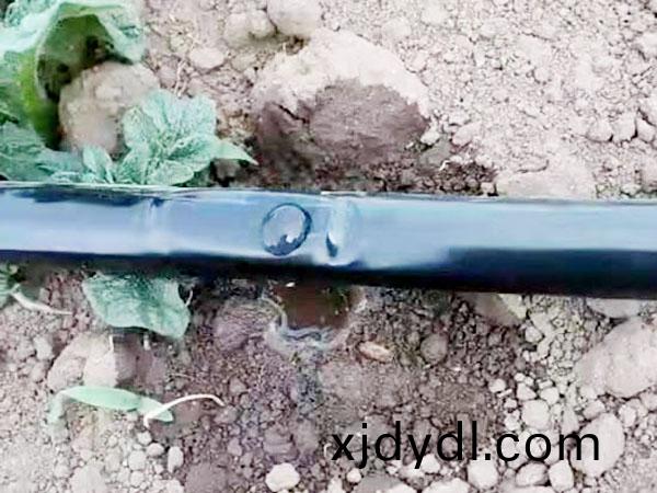滴灌(guan)案例